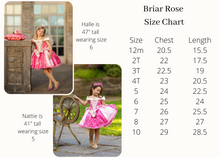 Load image into Gallery viewer, Briar Rose