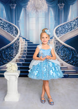 Load image into Gallery viewer, Glass Slipper