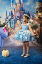 Load image into Gallery viewer, Glass Slipper