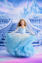 Load image into Gallery viewer, Ice Princess