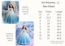 Load image into Gallery viewer, Ice Princess
