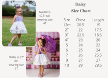 Load image into Gallery viewer, Daisy