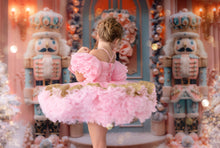 Load image into Gallery viewer, Pink Ballet