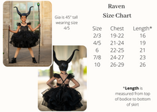 Load image into Gallery viewer, Raven