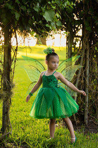 Tinker Fairy