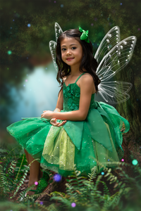 Tinker Fairy